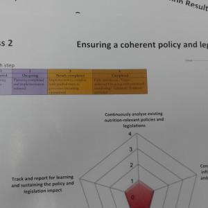 A seminar on the country joint assessment over progress of the SUN Movement 